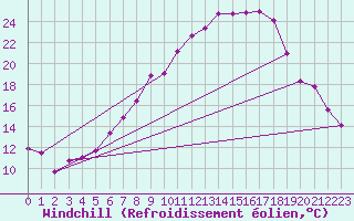 Courbe du refroidissement olien pour Zwiesel