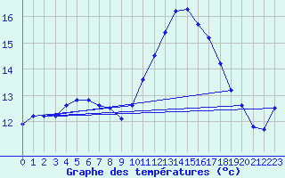 Courbe de tempratures pour Brigueuil (16)