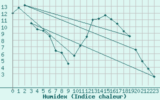 Courbe de l'humidex pour Amur (79)