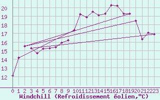 Courbe du refroidissement olien pour Amur (79)