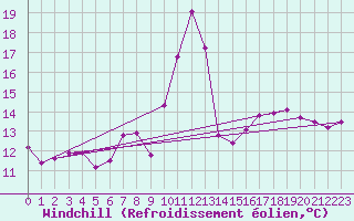 Courbe du refroidissement olien pour Coimbra / Cernache