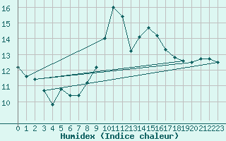 Courbe de l'humidex pour Wiesenburg