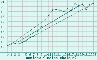 Courbe de l'humidex pour Veiholmen