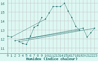 Courbe de l'humidex pour Monte S. Angelo