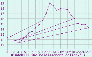 Courbe du refroidissement olien pour Weiden
