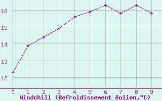 Courbe du refroidissement olien pour Millendon (Swan Valley)