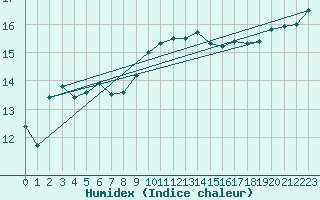 Courbe de l'humidex pour Roches Point