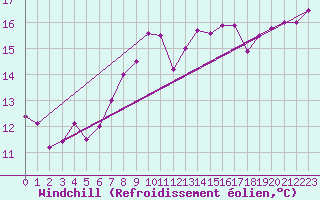 Courbe du refroidissement olien pour Ballypatrick Forest