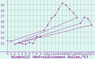 Courbe du refroidissement olien pour Bad Marienberg