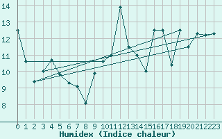Courbe de l'humidex pour Ballypatrick Forest