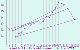 Courbe du refroidissement olien pour Bad Lippspringe