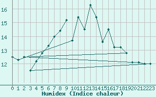 Courbe de l'humidex pour Skamdal