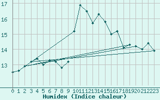 Courbe de l'humidex pour Ile Rousse (2B)