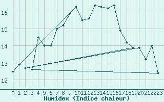 Courbe de l'humidex pour Skagen