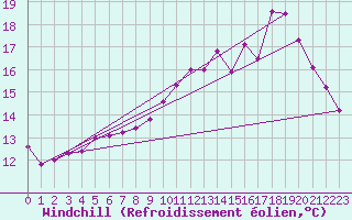 Courbe du refroidissement olien pour Chailles (41)