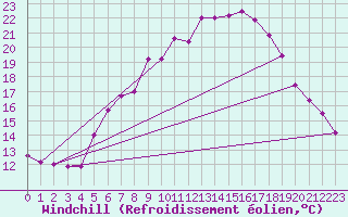 Courbe du refroidissement olien pour Freudenstadt