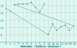 Courbe de l'humidex pour Ballypatrick Forest