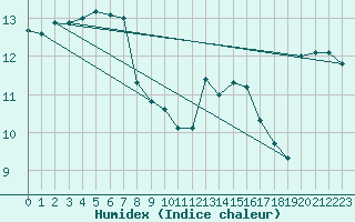 Courbe de l'humidex pour Roches Point