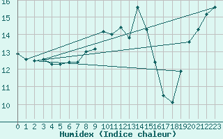 Courbe de l'humidex pour Berkenhout AWS