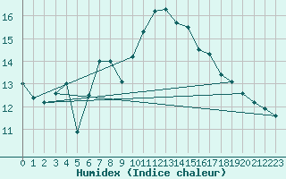 Courbe de l'humidex pour Berkenhout AWS