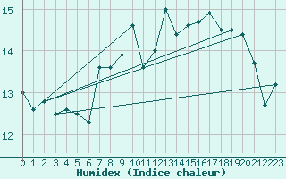 Courbe de l'humidex pour Skagsudde