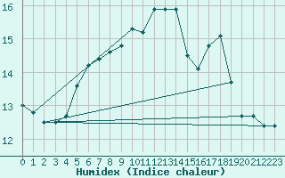 Courbe de l'humidex pour Seljelia