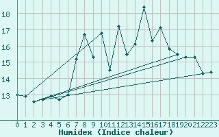 Courbe de l'humidex pour Hoek Van Holland
