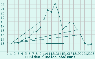 Courbe de l'humidex pour Chieming