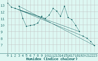 Courbe de l'humidex pour Seljelia