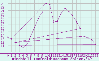 Courbe du refroidissement olien pour Neumarkt