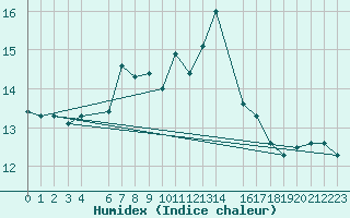 Courbe de l'humidex pour Skamdal