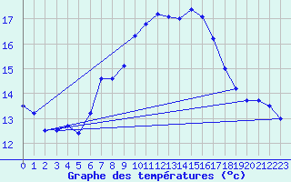 Courbe de tempratures pour Bad Marienberg
