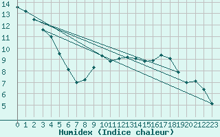 Courbe de l'humidex pour Holzkirchen