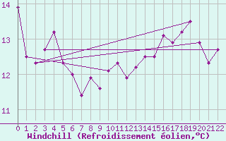 Courbe du refroidissement olien pour Flinders Island Airport