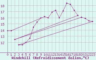 Courbe du refroidissement olien pour Lough Fea