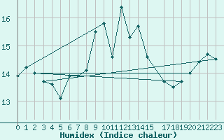 Courbe de l'humidex pour Monte S. Angelo