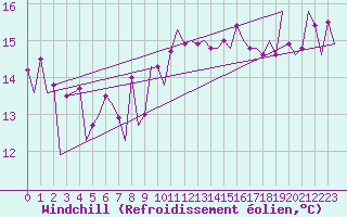 Courbe du refroidissement olien pour Platform P11-b Sea