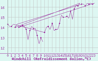 Courbe du refroidissement olien pour Platform P11-b Sea