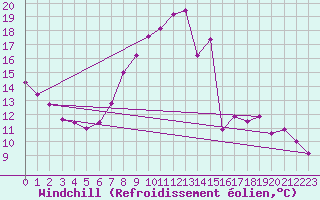 Courbe du refroidissement olien pour Zeebrugge