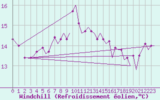 Courbe du refroidissement olien pour Platform P11-b Sea