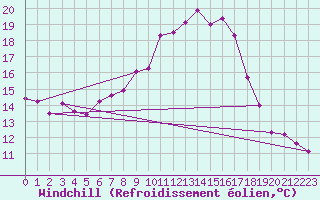 Courbe du refroidissement olien pour Weihenstephan