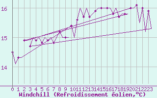 Courbe du refroidissement olien pour Platform P11-b Sea