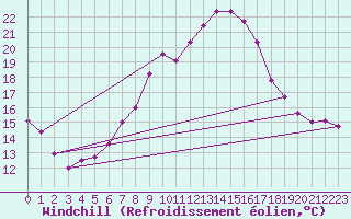 Courbe du refroidissement olien pour Bergen