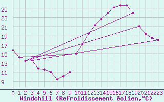Courbe du refroidissement olien pour Cognac (16)