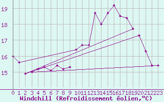 Courbe du refroidissement olien pour Cap de la Hague (50)