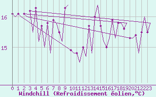 Courbe du refroidissement olien pour Platform P11-b Sea
