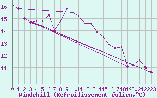 Courbe du refroidissement olien pour Elsenborn (Be)