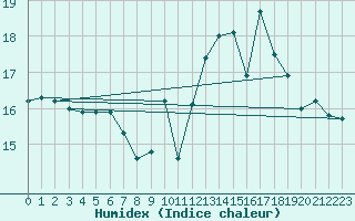 Courbe de l'humidex pour Brigueuil (16)