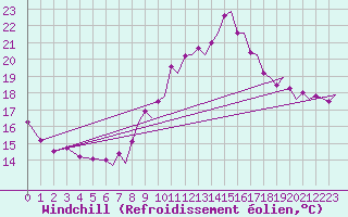 Courbe du refroidissement olien pour Platform Awg-1 Sea