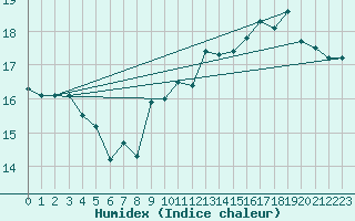 Courbe de l'humidex pour Pointe de Chassiron (17)